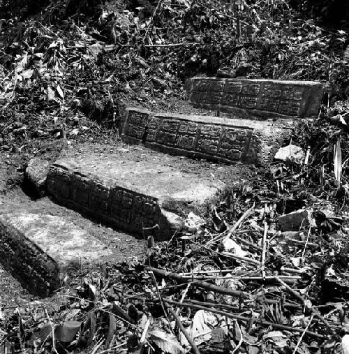 Hieroglyphic steps at Dos Pilas