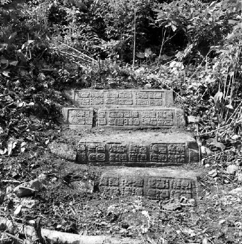 Hieroglyphic steps at Dos Pilas