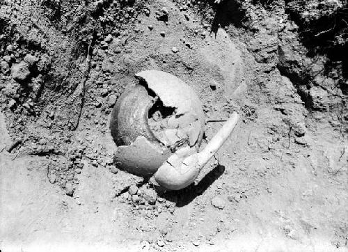 View of excavation showing artifacts