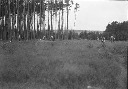 Necropolis - Tumuli 1 and 2, facing north