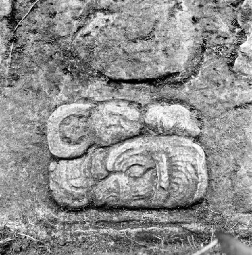 Hieroglyphic stairs at Dos Pilas