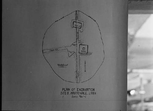 Survey drawing of Site III, plan of excavation