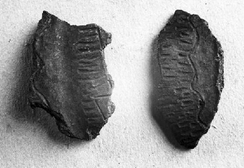 Two potsherds