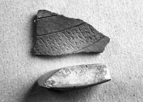 Two potsherds