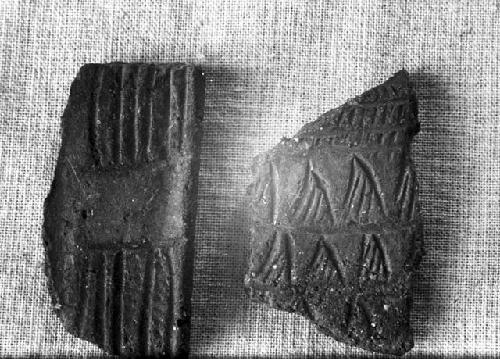 Two potsherds