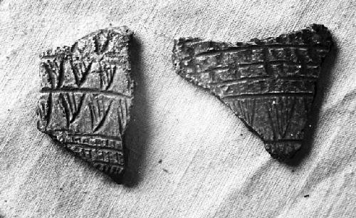 Two potsherds