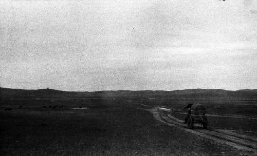 Rear view of cart approaching Jabser (Chapchir)