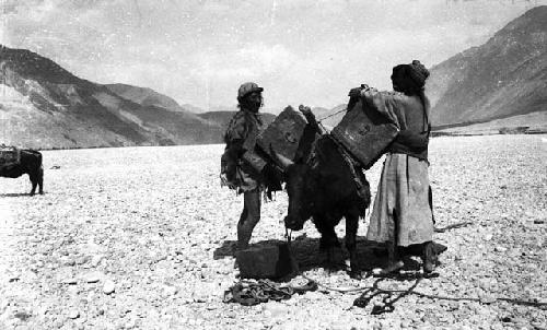 Men loading pack animal after crossing Shyok