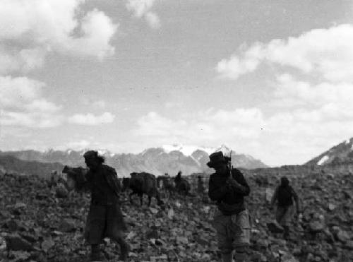 Three caravaneers, pack horses in background