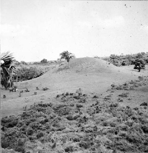 Mound from Las Minas group