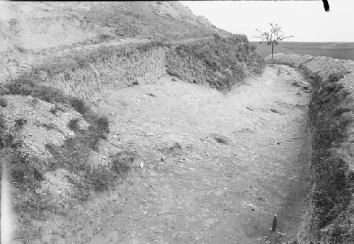 Palisade II and gates - looking east