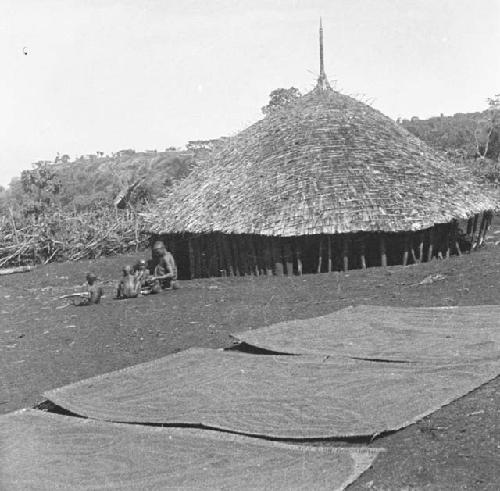 Millet for beer making