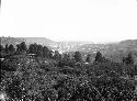 Landscape, General View of Canyon