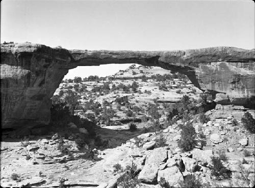 Natural Bridges National Monument