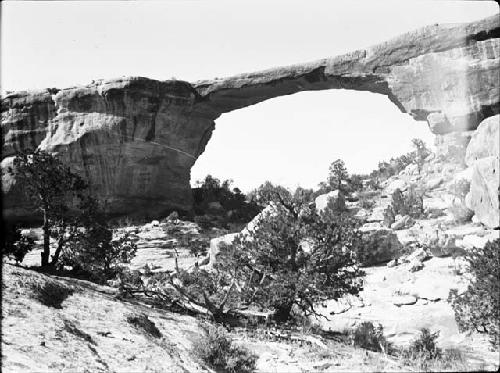 Natural Bridges National Monument