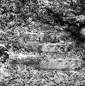 Hieroglyphic steps at Tamarindito