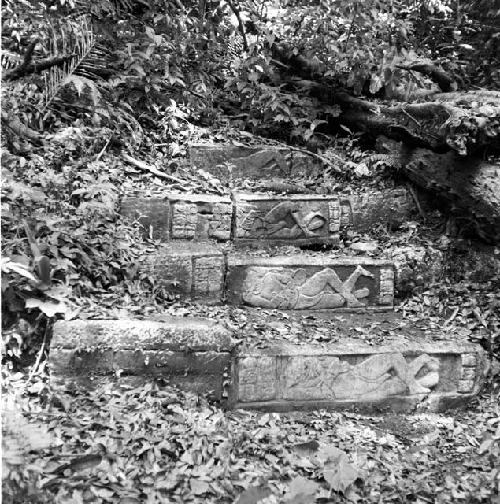 Hieroglyphic steps at Tamarindito