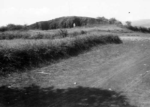 Blato Lapasnice, western tumulus, facing west, near Pirot