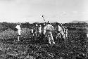 Men digging at site, excavation