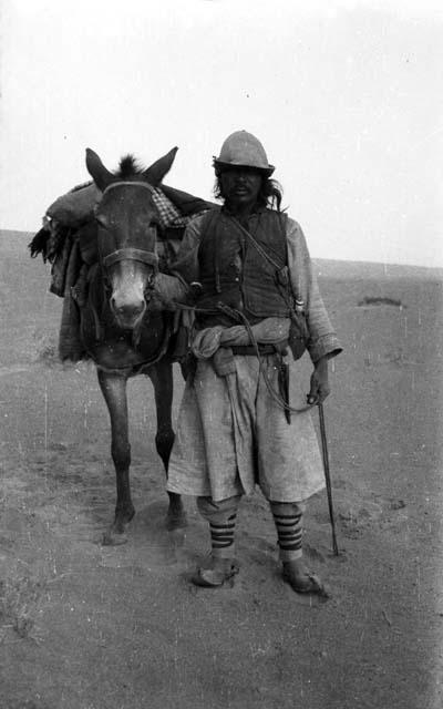 Pack horses and man, probably Ladakhi