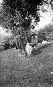 Three young men, possibly shepherds with goats in front of them