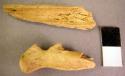 Organic, bone, faunal fragments