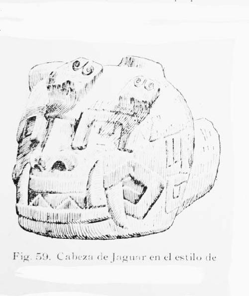 Cabeza de Jaguar