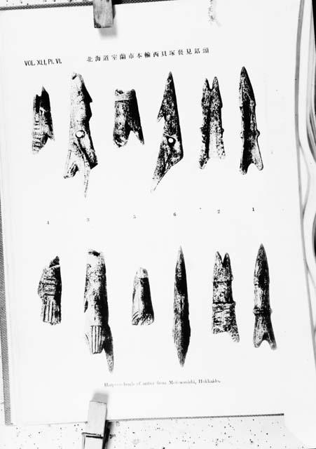 Harpoon heads of antler from shell mounds