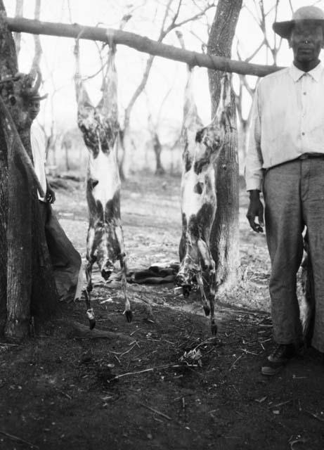 Federico and his deer