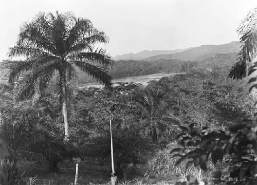 View from rear porch of Mr. And Mrs. Schwab's house