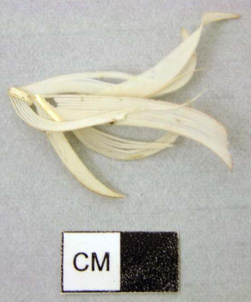 Feather fragments, 3 white, 1 brown and buff