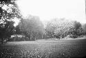 Ball court, distant view