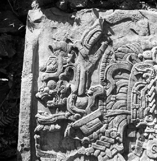 Detail of Stela 16 at Dos Pilas