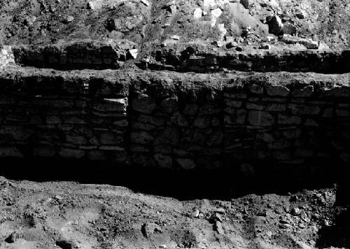 View of excavation site, and shots of artifacts