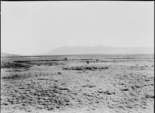 Landscape, West House to Northeast