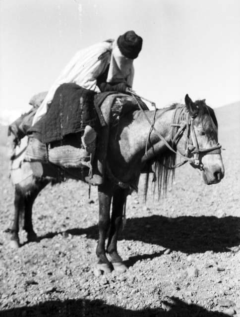 Hajji woman, in full veil on horseback