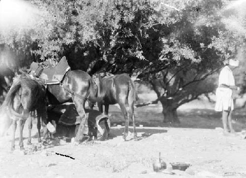 Expedition camp, Morocco