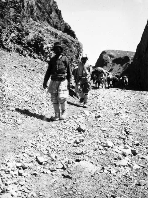 Two men in lead of caravan, loaded horses following