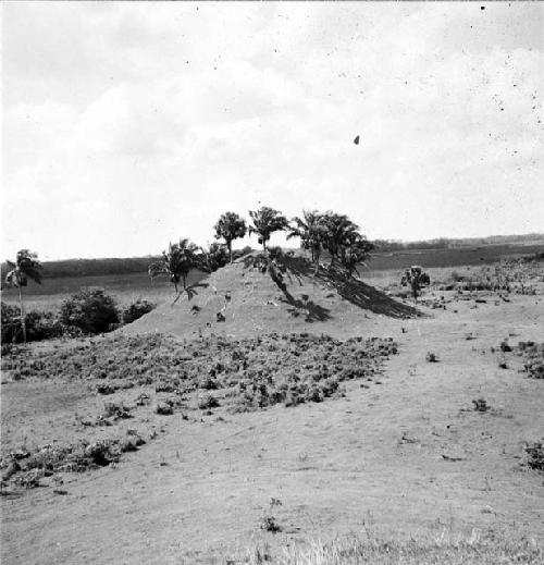 Mound from Las Minas group