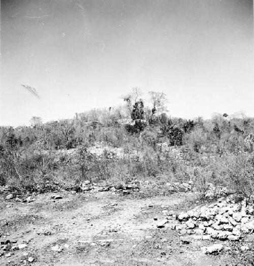 View of mound 10 from Casa 1