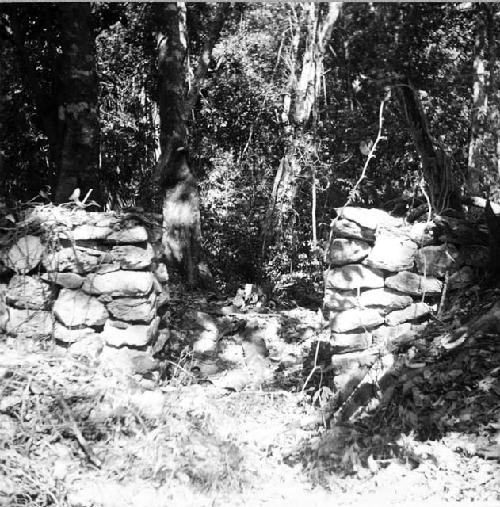 Edificio de Los Grandes Columnas. Entrance to back room