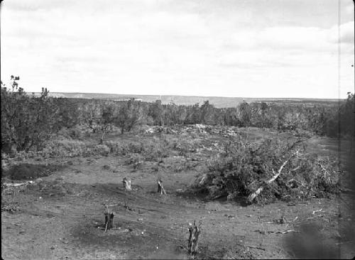 Unit 1 in Center, Unit 3 in Center Background, Before Excavation of North Row