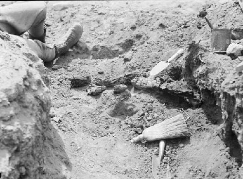 Site III, House II, burned timber