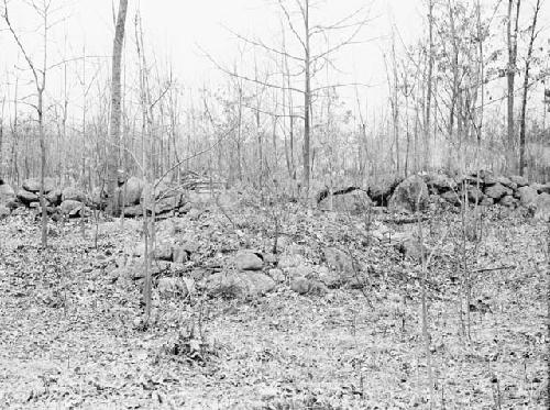 Mound 7 from east