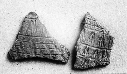 Two potsherds