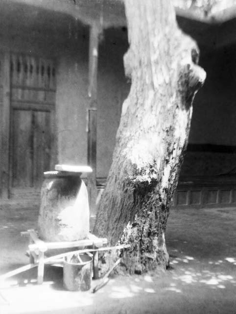 Posgam, jar and tree in aqsaqal's court