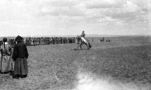 Prince of West Sunid riding ambling pony