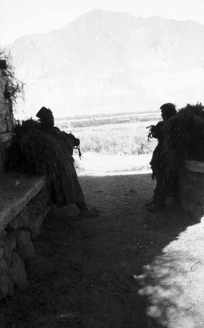 Ladakhi harvesters