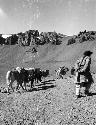 Near top, Karakorum Pass, loaded horses with two men walking alongside