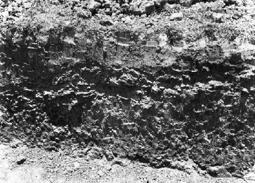 Close-up view of pottery floor on side of excavation pit